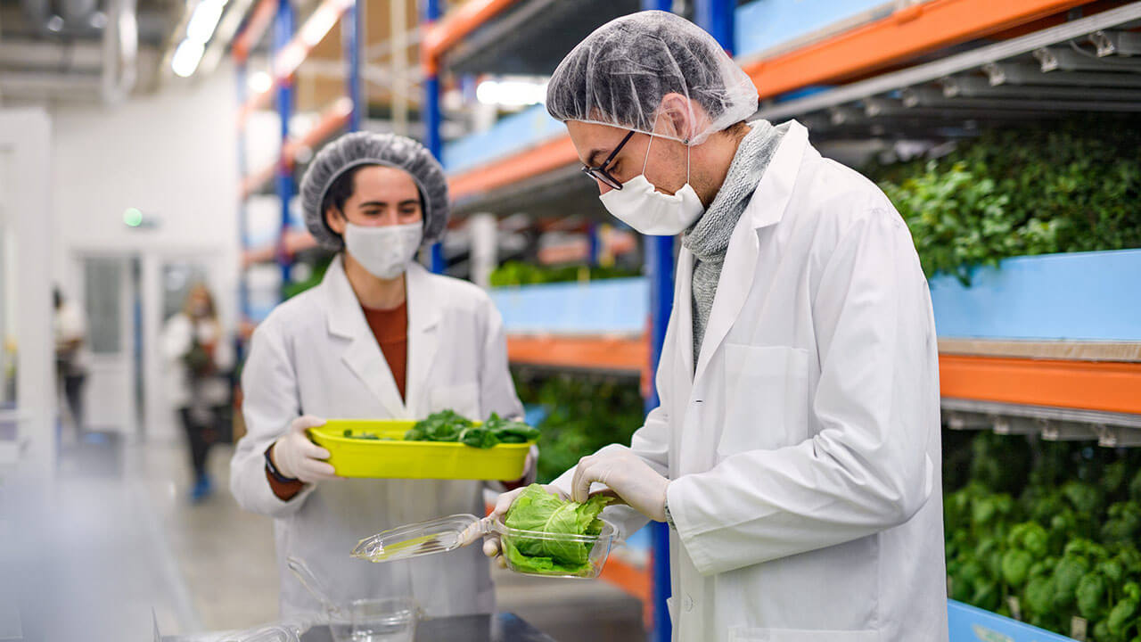 food-safety-haccp