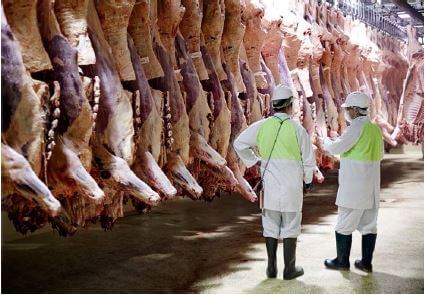meat-processing