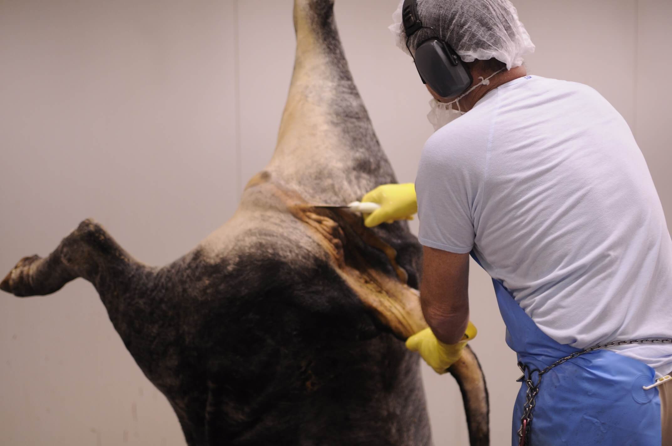 cert3-meat-process-slaughtering