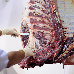 meat-processing-abattoirs