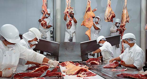 boning-room