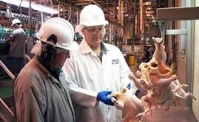 cert3-meat-process-slaughtering