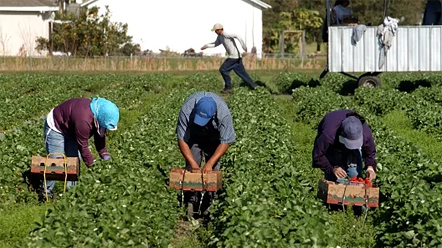 agribusiness-leadership